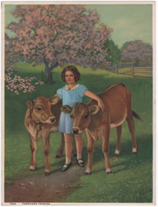 Vintage Calendar Art cows, cattle, livestock, farm life, etc.